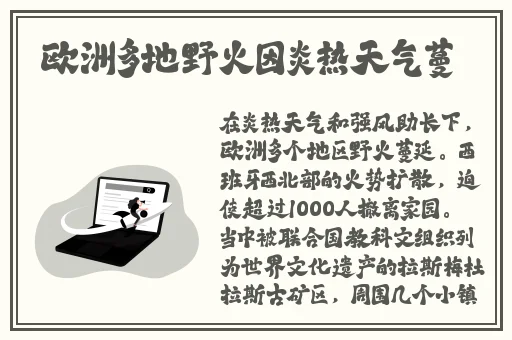 久久久久久久精品免费费